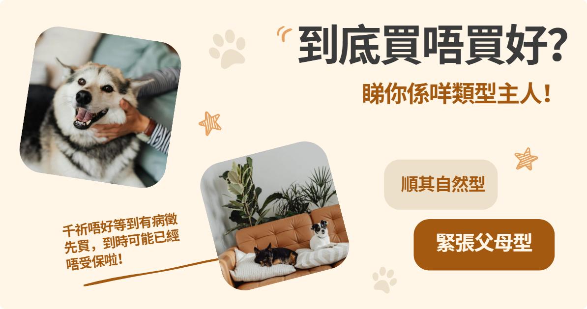 萬貫 Double Cash, Double Cash, 寵物保險, 獸醫費用, 保障範圍, 診金, 手術費, 嚴重疾病, 投保資格, 借錢, 私人貸款, 貸款, 貸款機構, 貸款公司, 小額貸款, 即批貸款, 借貸, 信貸, 信貸財務, 財務公司, 快速批核, 即日過數, 九龍貸款, 九龍財務公司