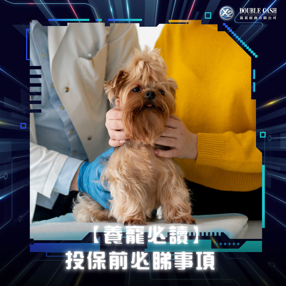 萬貫 Double Cash, Double Cash, 寵物保險, 獸醫費用, 保障範圍, 診金, 手術費, 嚴重疾病, 投保資格, 借錢, 私人貸款, 貸款, 貸款機構, 貸款公司, 小額貸款, 即批貸款, 借貸, 信貸, 信貸財務, 財務公司, 快速批核, 即日過數, 九龍貸款, 九龍財務公司