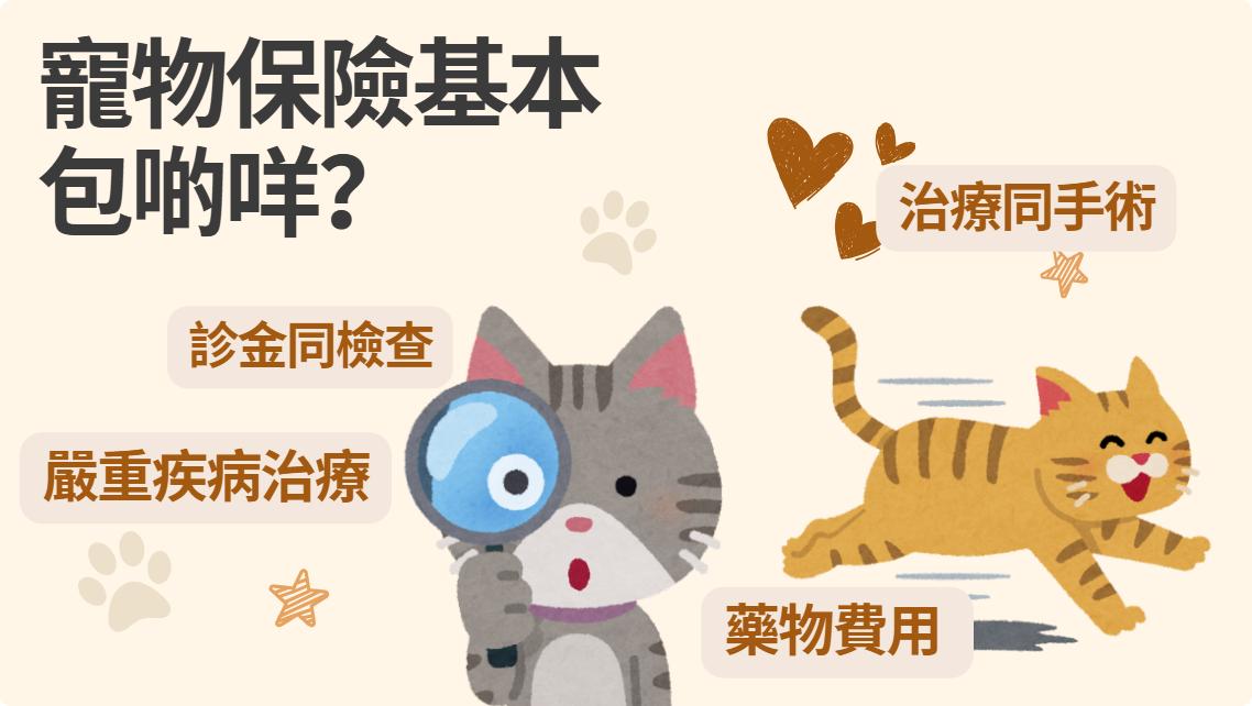 萬貫 Double Cash, Double Cash, 寵物保險, 獸醫費用, 保障範圍, 診金, 手術費, 嚴重疾病, 投保資格, 借錢, 私人貸款, 貸款, 貸款機構, 貸款公司, 小額貸款, 即批貸款, 借貸, 信貸, 信貸財務, 財務公司, 快速批核, 即日過數, 九龍貸款, 九龍財務公司